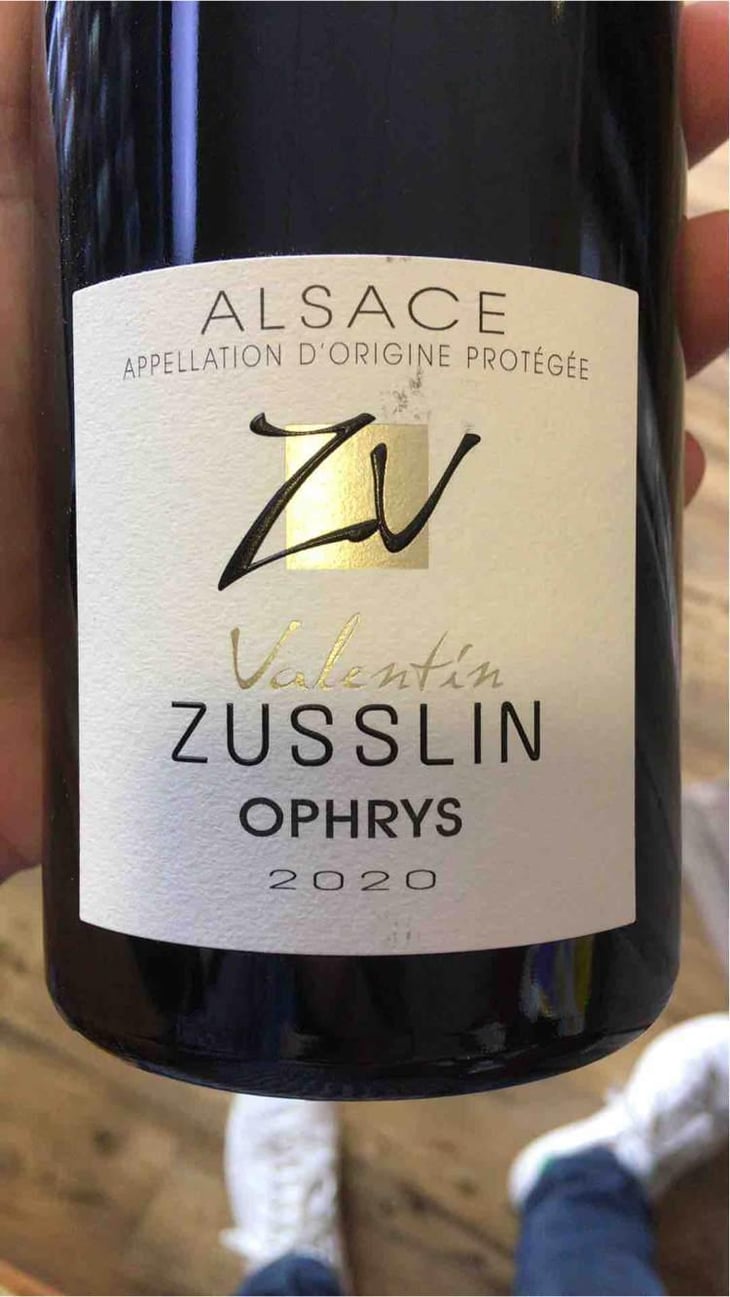 Pinot Noir Ophrys - Domaine Valentin Zusslin - Jean-Paul & Marie Zusslin 