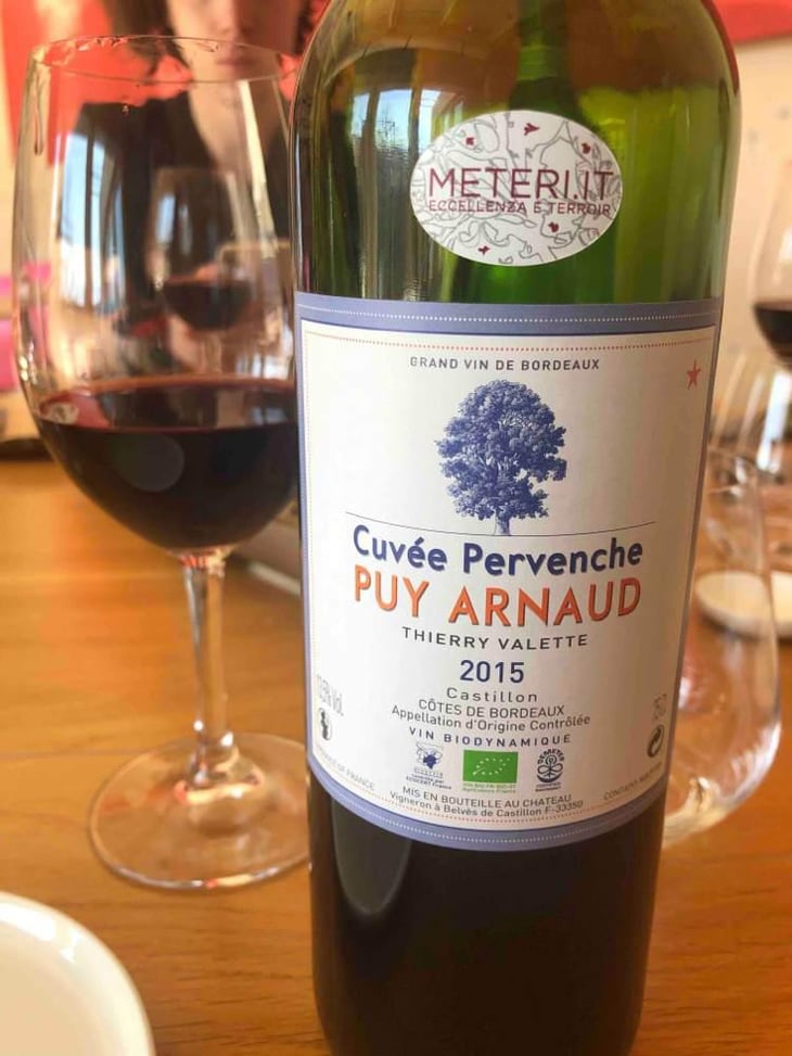 Cuvee Pervenche - Clos Puy Arnaud - Thierry Valette 