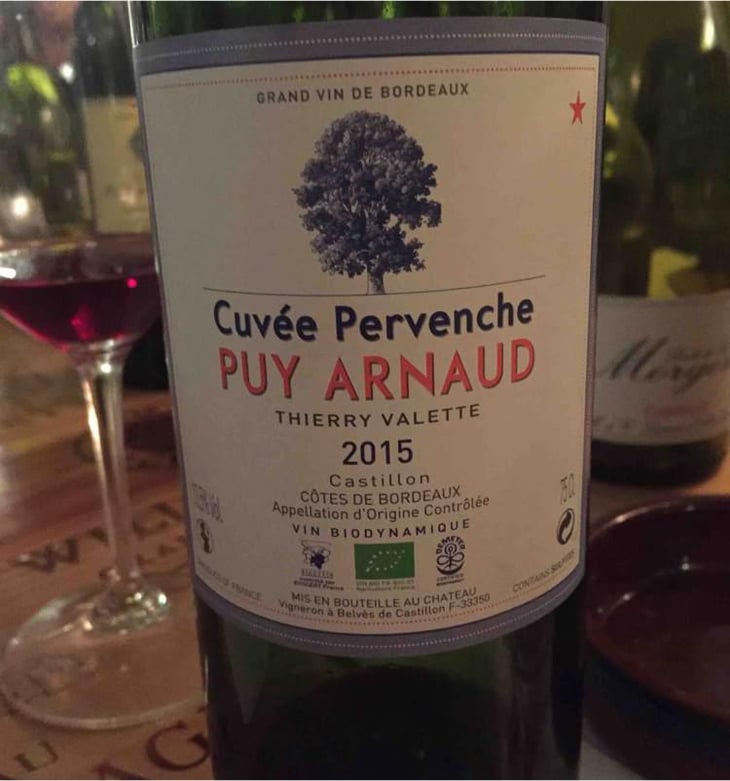 Cuvee Pervenche - Clos Puy Arnaud - Thierry Valette 
