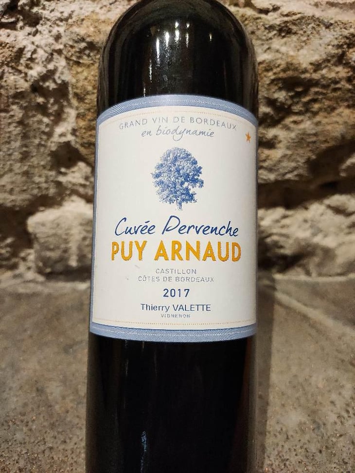 Cuvee Pervenche - Clos Puy Arnaud - Thierry Valette 
