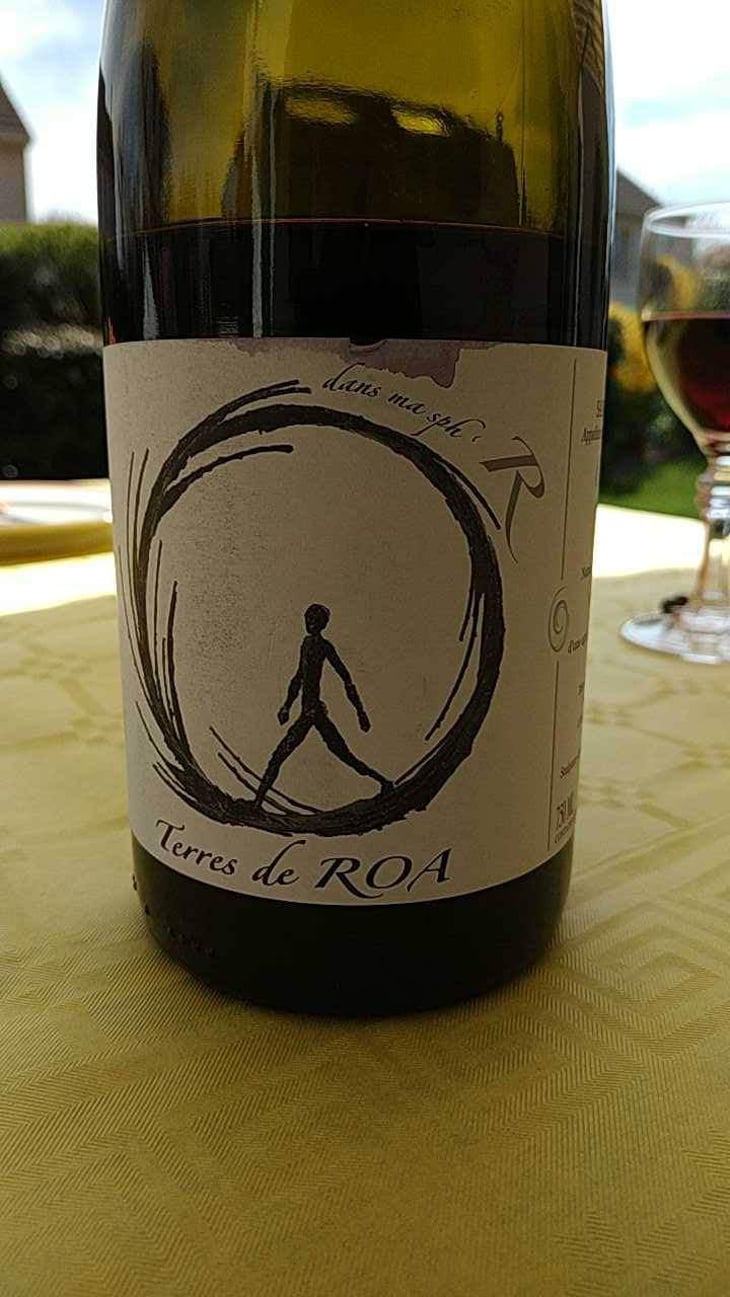 dans ma sphère - Vignoble des Vernusses - Loren PETIT -2022