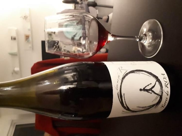 dans ma sphère - Vignoble des Vernusses - Loren PETIT -2022
