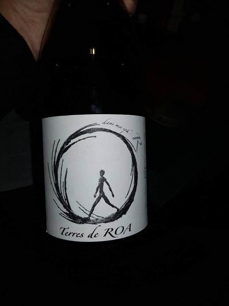 dans ma sphère - Vignoble des Vernusses - Loren PETIT -2022