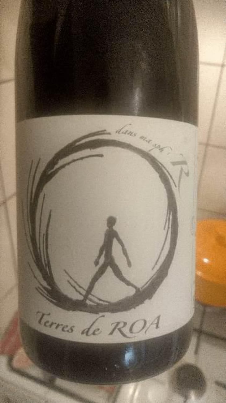 dans ma sphère - Vignoble des Vernusses - Loren PETIT -2022