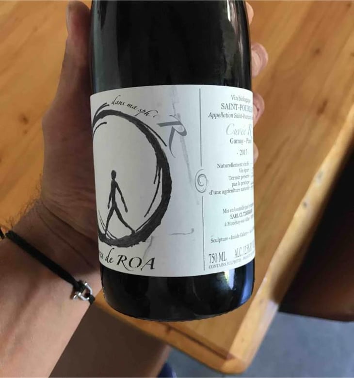 dans ma sphère - Vignoble des Vernusses - Loren PETIT -2022