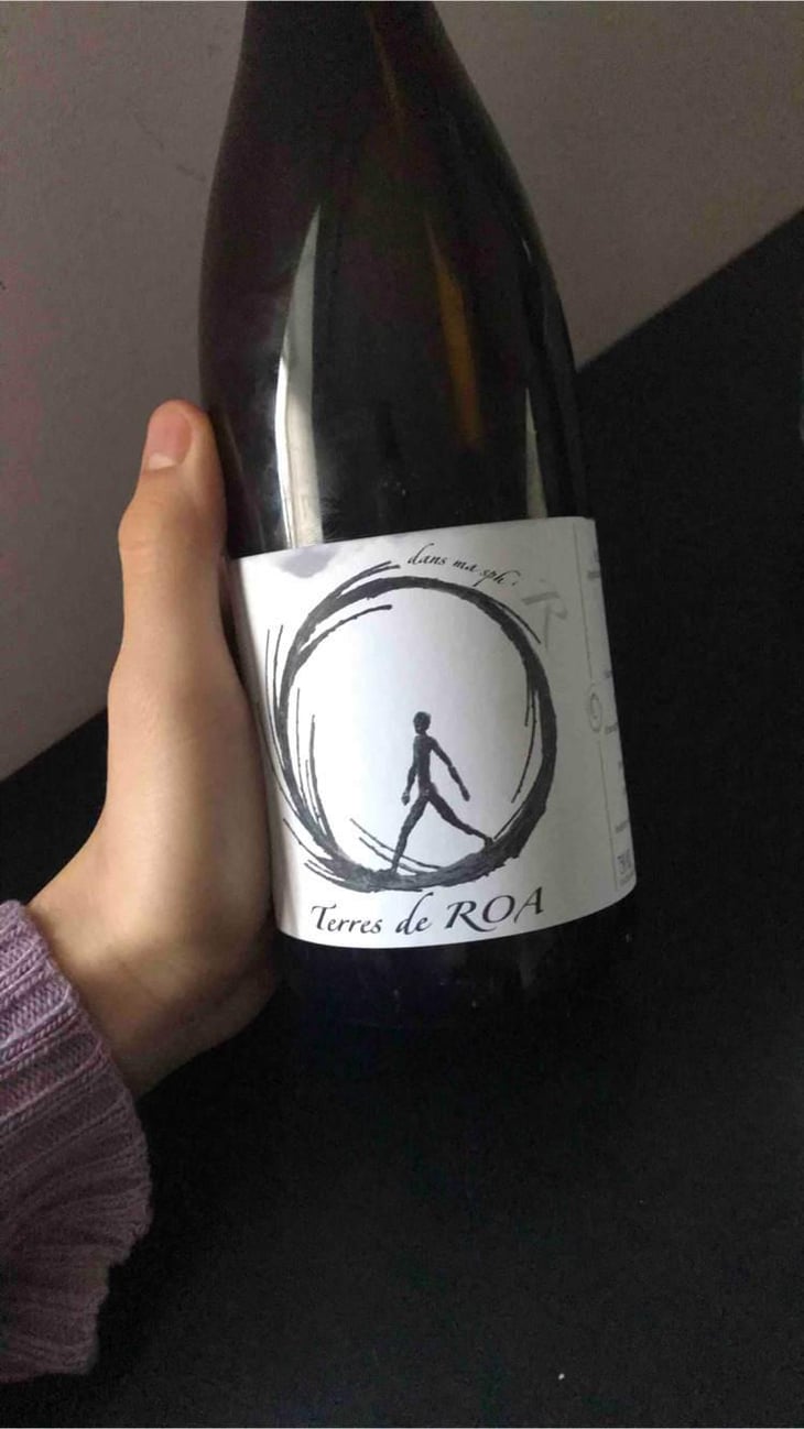 dans ma sphère - Vignoble des Vernusses - Loren PETIT -2022