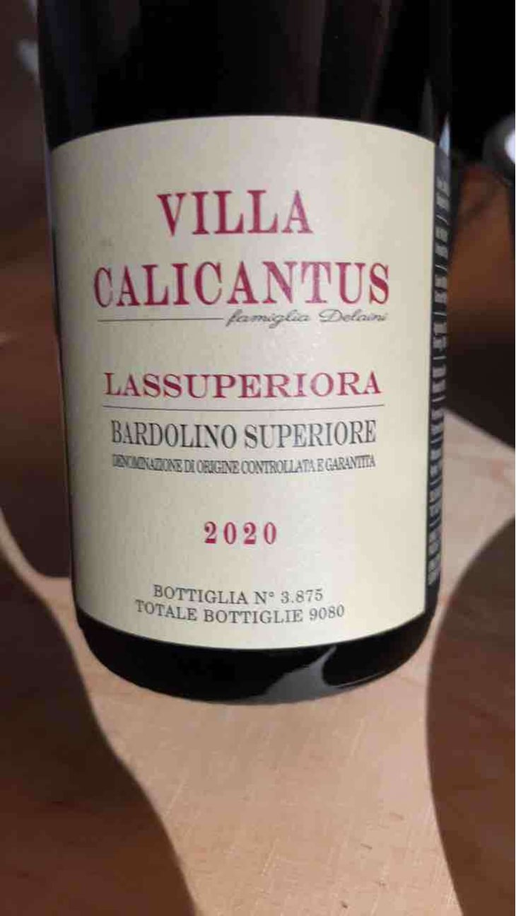LASSUPERIORA - Villa Calicantus - Daniele e Chiara Delaini 