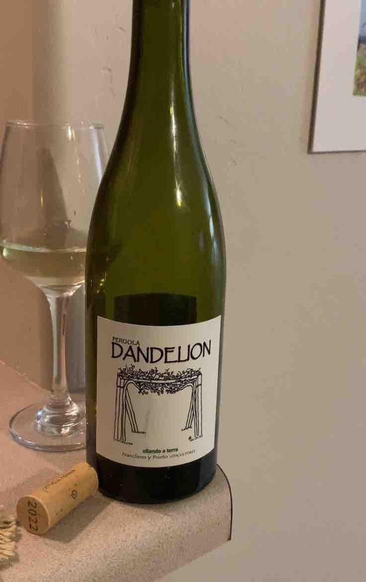 Dandelion - Nanclares y Prieto - Alberto Nanclares & Silvia Prieto -2021