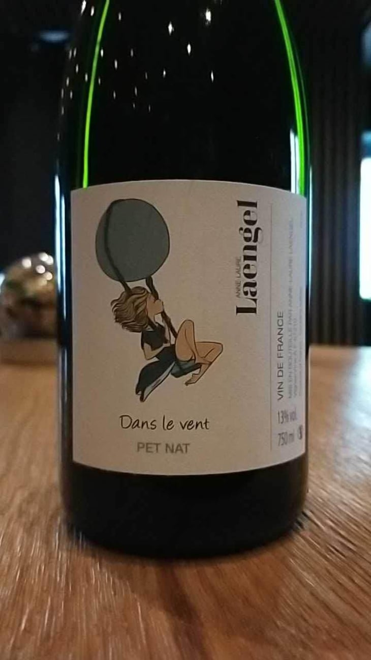 Dans Le Vent - Anne-Laure Laengel - Anne-Laure Laengel 