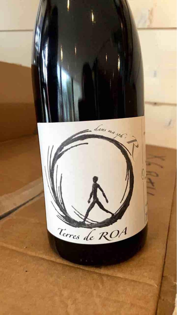 dans ma sphère - Vignoble des Vernusses - Loren PETIT -2022