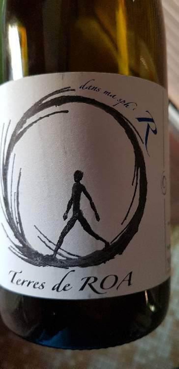 dans ma sphère - Vignoble des Vernusses - Loren PETIT -2022