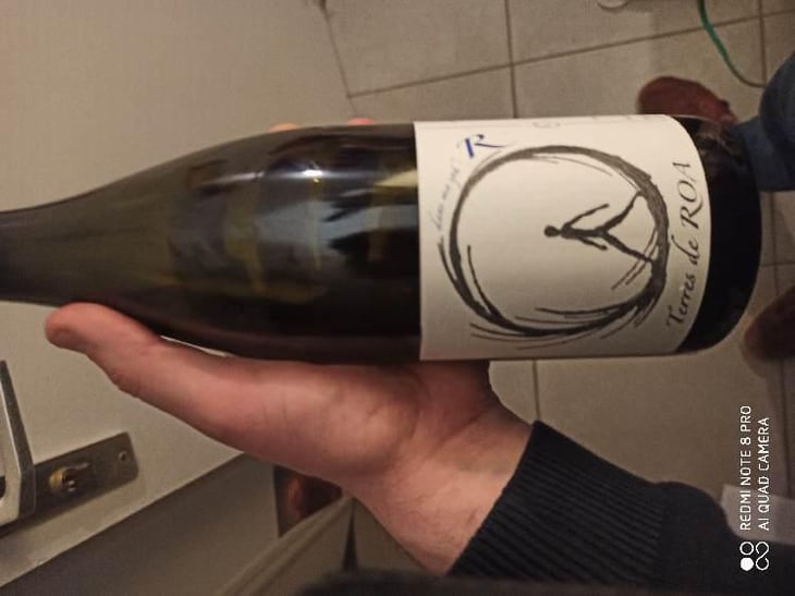 dans ma sphère - Vignoble des Vernusses - Loren PETIT -2022