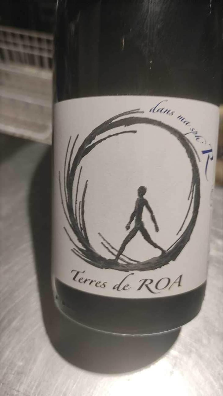 dans ma sphère - Vignoble des Vernusses - Loren PETIT -2022