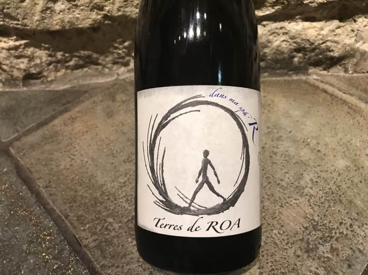 dans ma sphère - Vignoble des Vernusses - Loren PETIT -2022