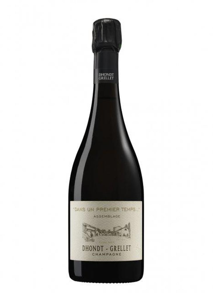 Dans Un Premier Temps... - Domaine Dhondt-Grellet - Adrien Dhondt 