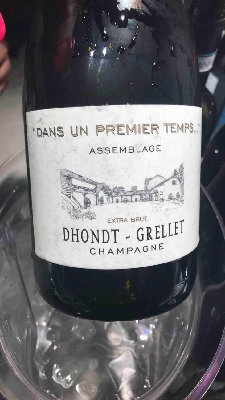 Dans Un Premier Temps... - Domaine Dhondt-Grellet - Adrien Dhondt 