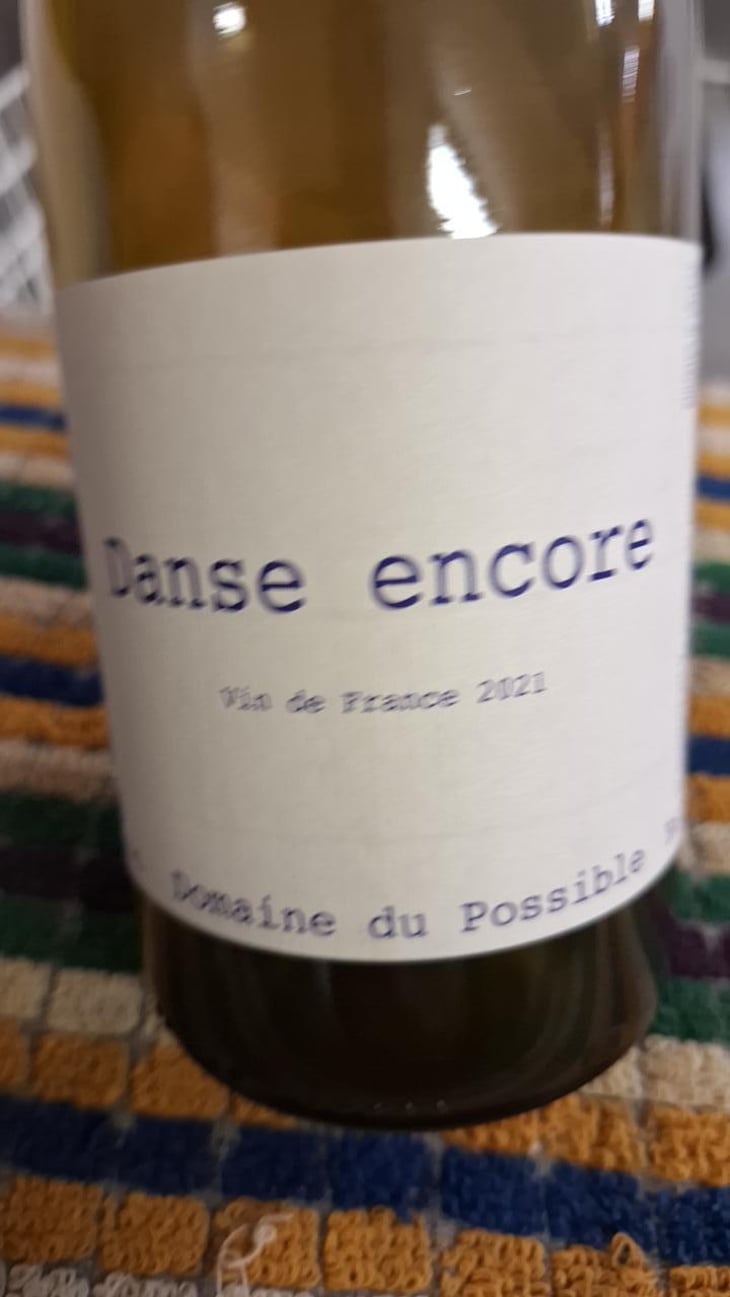 Danse Encore - Domaine du Possible - Loïc Roure 
