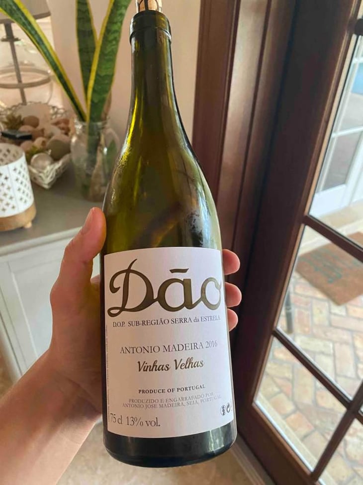 Dão Branco - António Madeira - António Madeira 