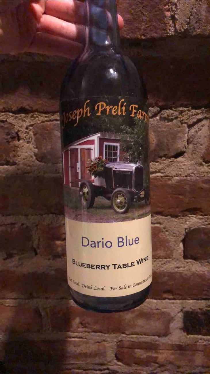 Dario blue - South Glastonbury CT - Joseph preli Farm 