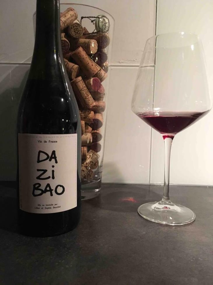Dazibao - Lilian & Sophie Bauchet - Lilian & Sophie Bauchet 