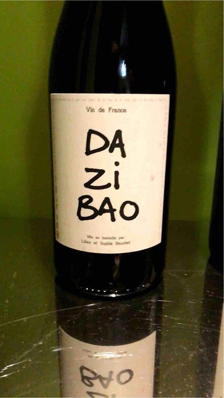 Dazibao - Lilian & Sophie Bauchet - Lilian & Sophie Bauchet 
