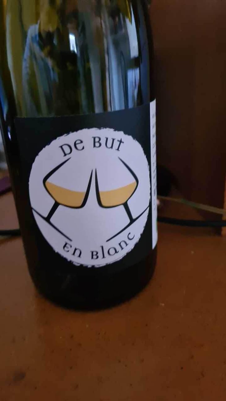 De But En Blanc - Clos Mathélisse - David Caer 