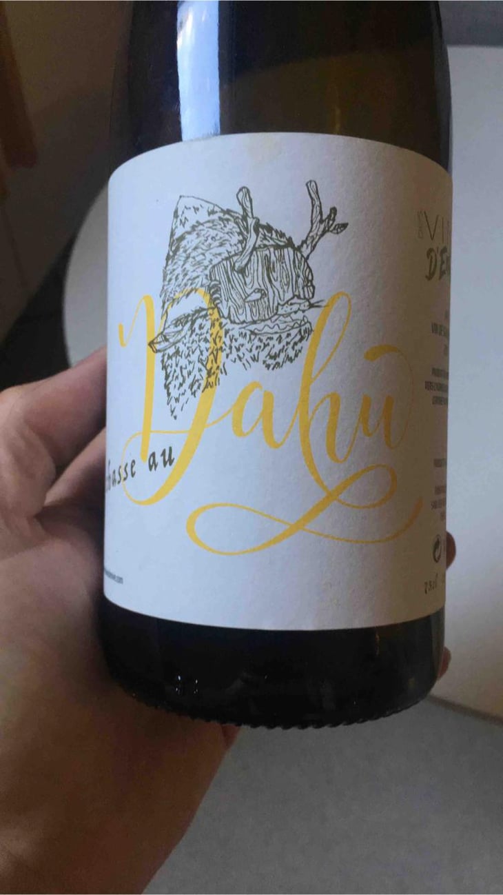 De Chasse Au Dahut - Des Vins D’Envie - Guillaume Lavie & Maxime Dancoine 