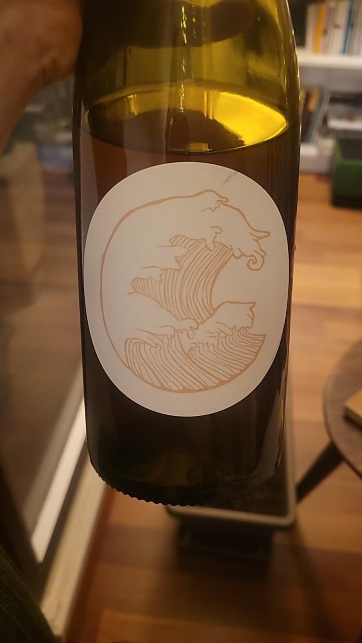 Déferlante Orange - Les Vignes d'Olivier - Olivier Cohen -2022