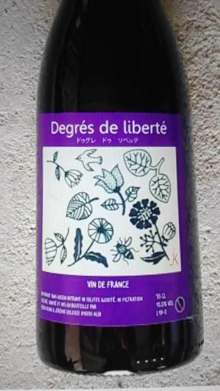 Degré De Liberté - Keiko & jérôme - Keiko Araki et Jérôme Deleuze 