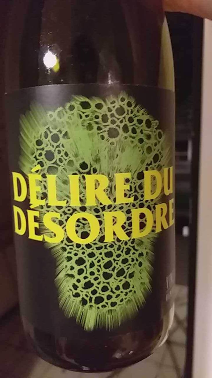 Délire Du Désordre - No Control - Vincent Marie 