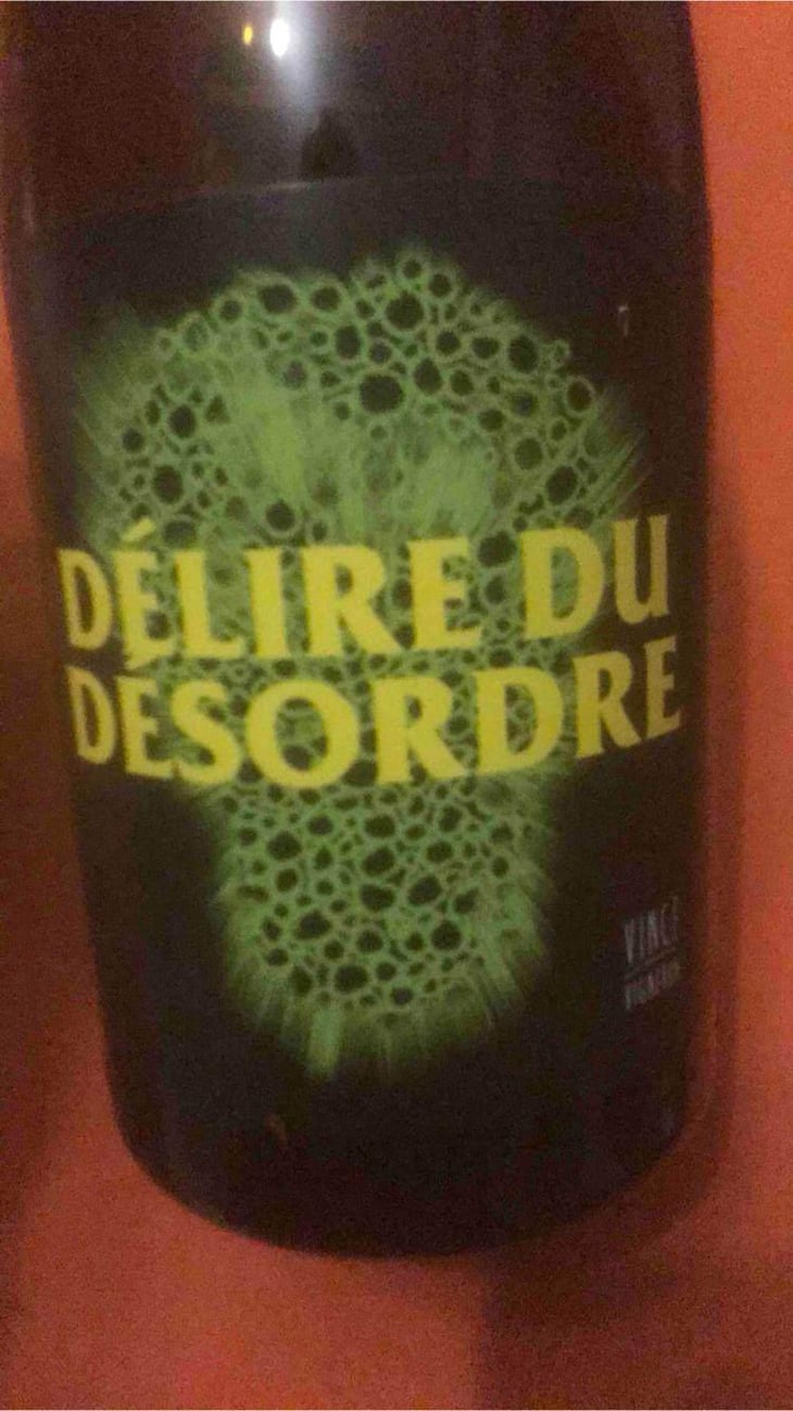 Délire Du Désordre - No Control - Vincent Marie 