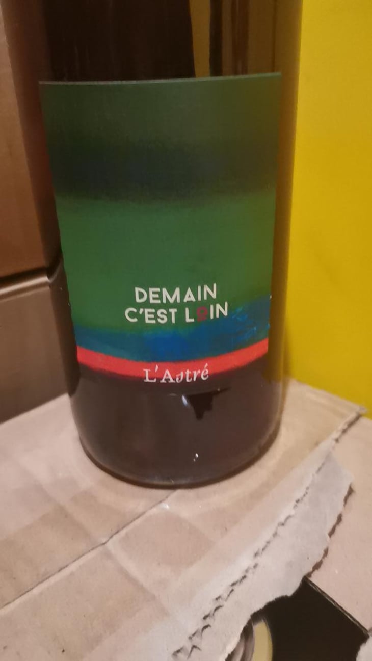 Demain C’est Loin - Domaine de l'Astré - Aude Duval et Sylvain Ohayon -2021