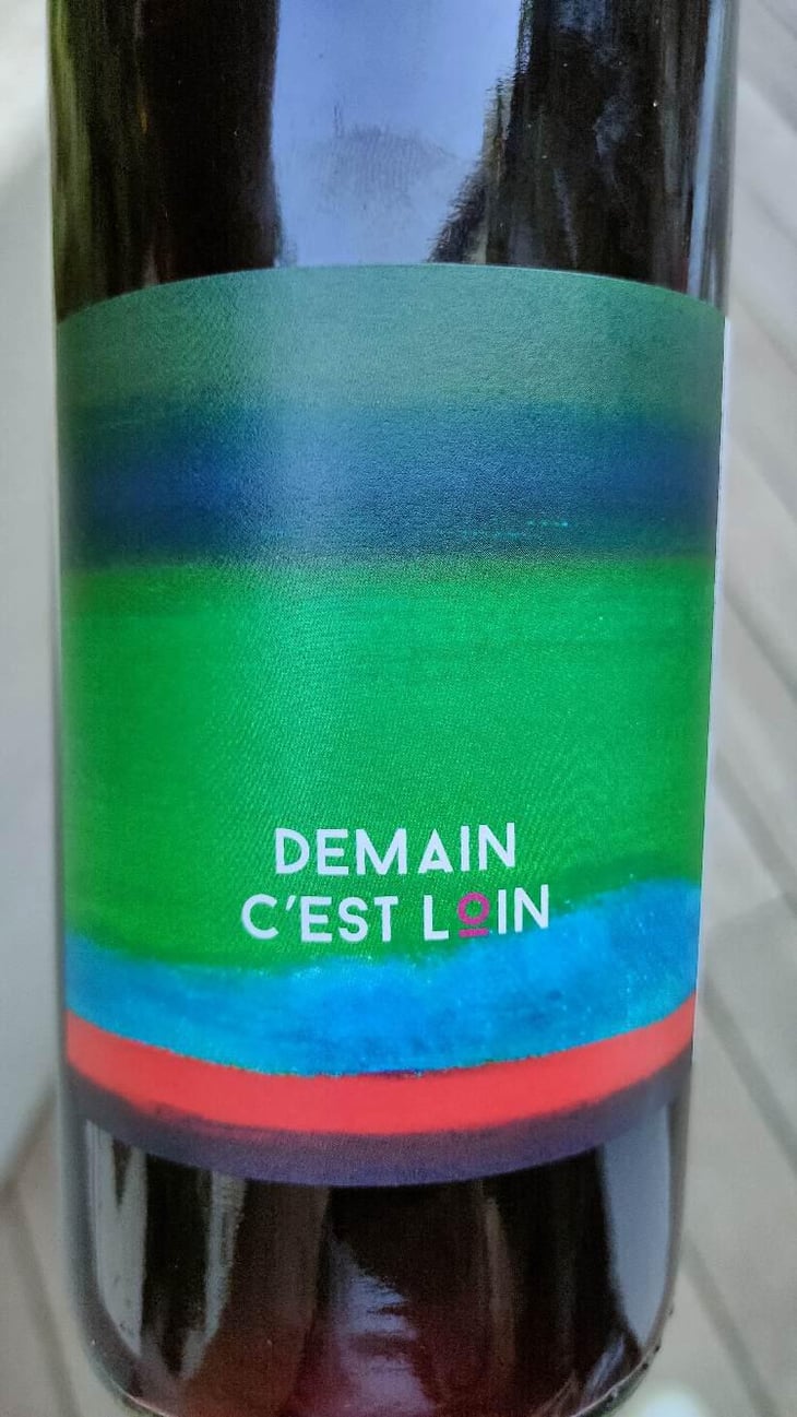Demain C’est Loin - Domaine de l'Astré - Aude Duval et Sylvain Ohayon -2021