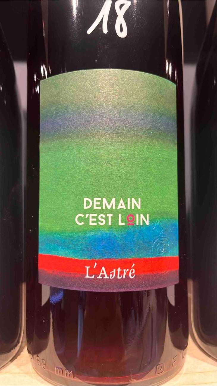 Demain C’est Loin - Domaine de l'Astré - Aude Duval et Sylvain Ohayon -2021