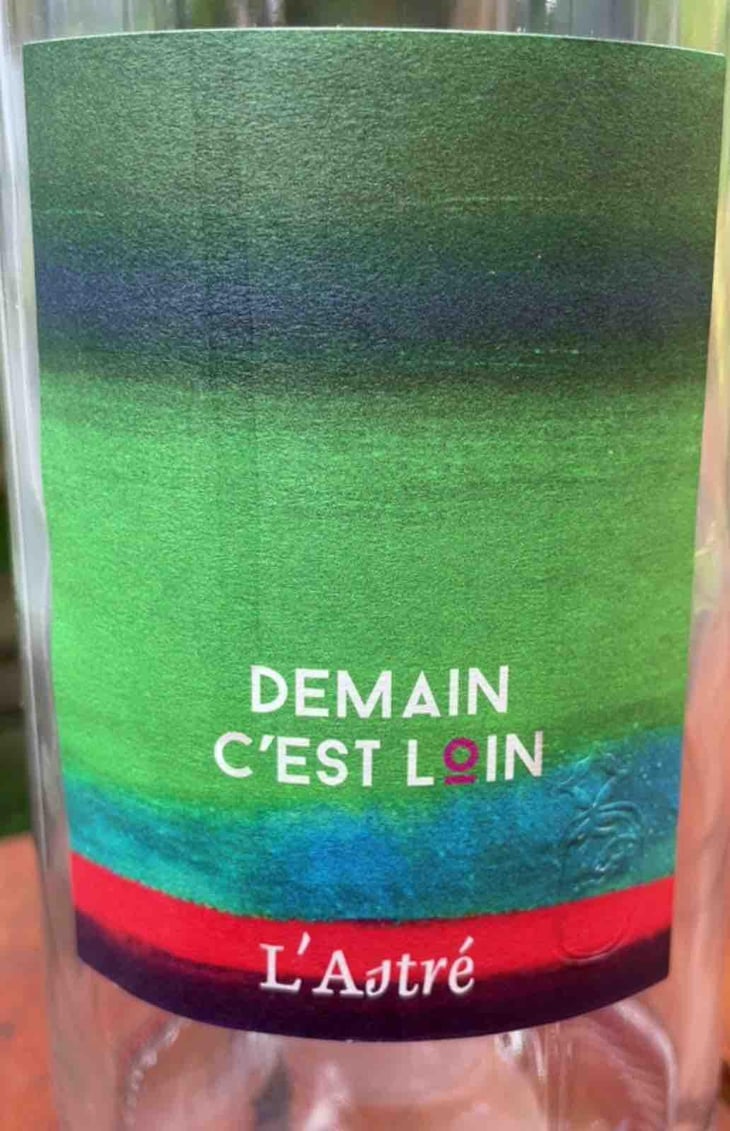 Demain C’est Loin - Domaine de l'Astré - Aude Duval et Sylvain Ohayon -2021