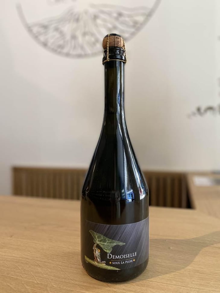 Demoiselle Sous la Pluie - Domaine du Closel - Evelyne de Jessey-Pontbriand -2020