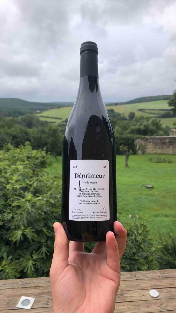 Déprimeur - Domaine de la Cras - Marc Soyard 