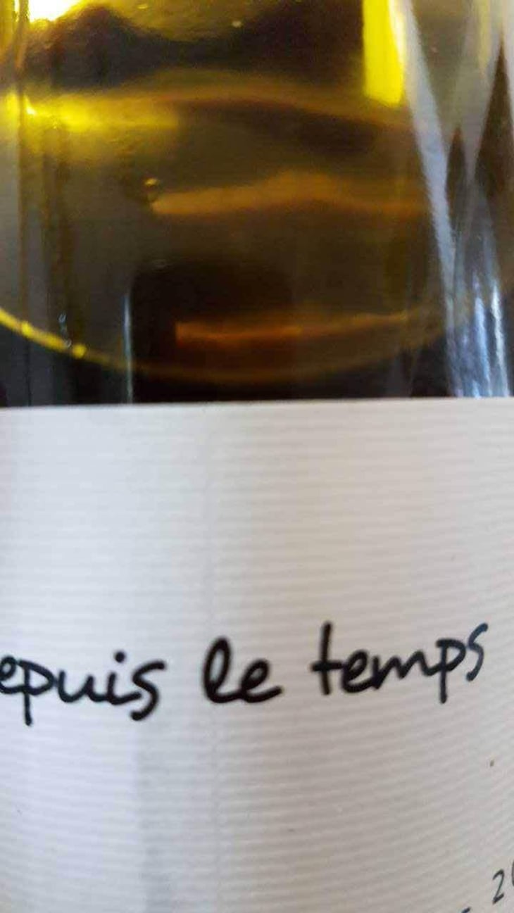 Depuis Le Temps - Guilhem Barré - Guilhem Barré 