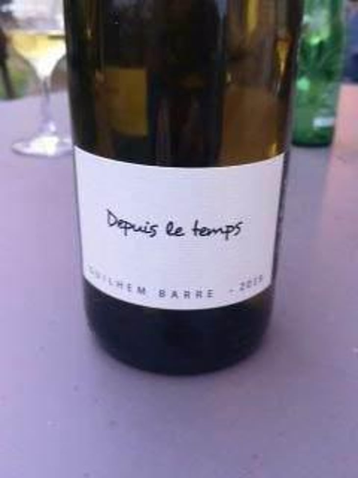 Depuis Le Temps - Guilhem Barré - Guilhem Barré 