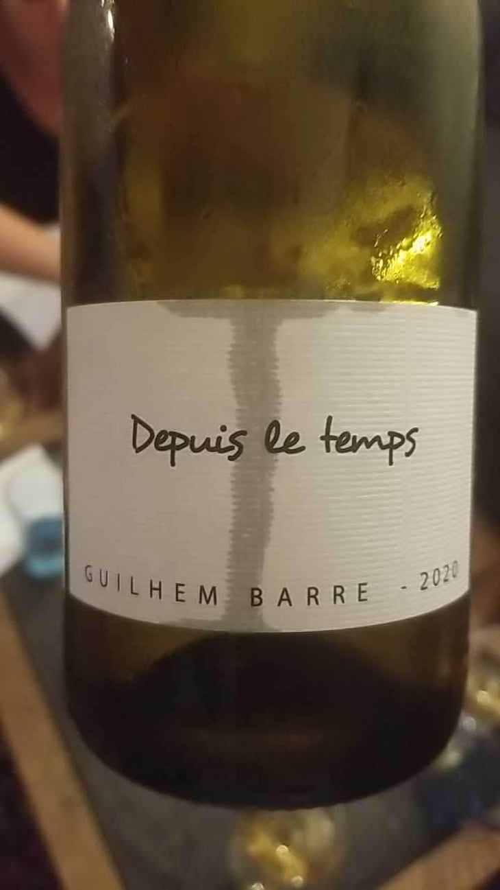 Depuis Le Temps - Guilhem Barré - Guilhem Barré 