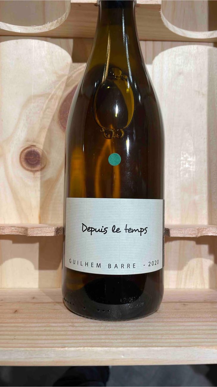 Depuis Le Temps - Guilhem Barré - Guilhem Barré 