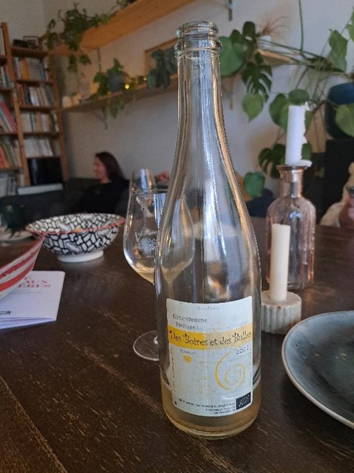 Des Boires et Des Bulles - Domaine de Mirebeau - Bruno Rochard 