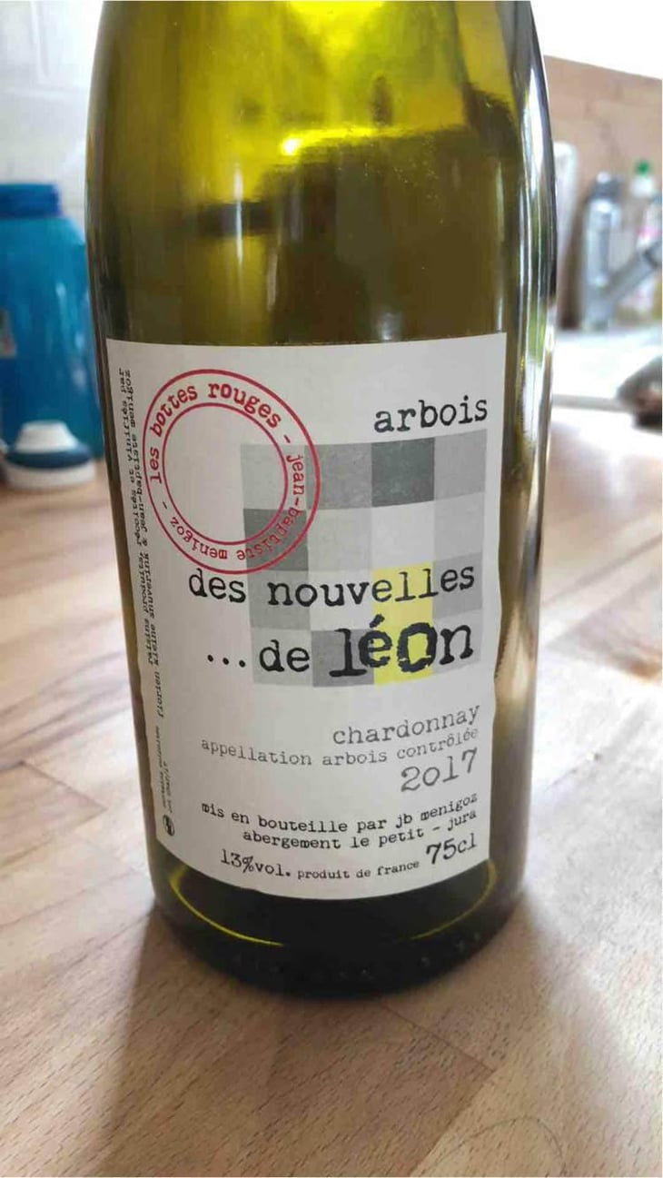 Des Nouvelles De Léon - Les Bottes Rouges - Florien Klein Snuverink & Jean-Baptiste Menigoz 