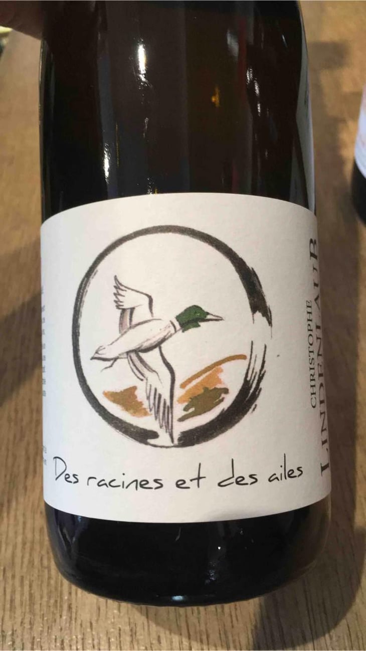 Des Racines Et Des Ailes - Lindenlaub - Christophe Lindenlaub 