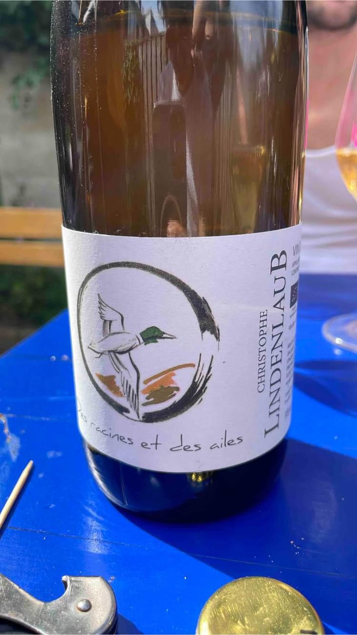 Des Racines Et Des Ailes - Lindenlaub - Christophe Lindenlaub 
