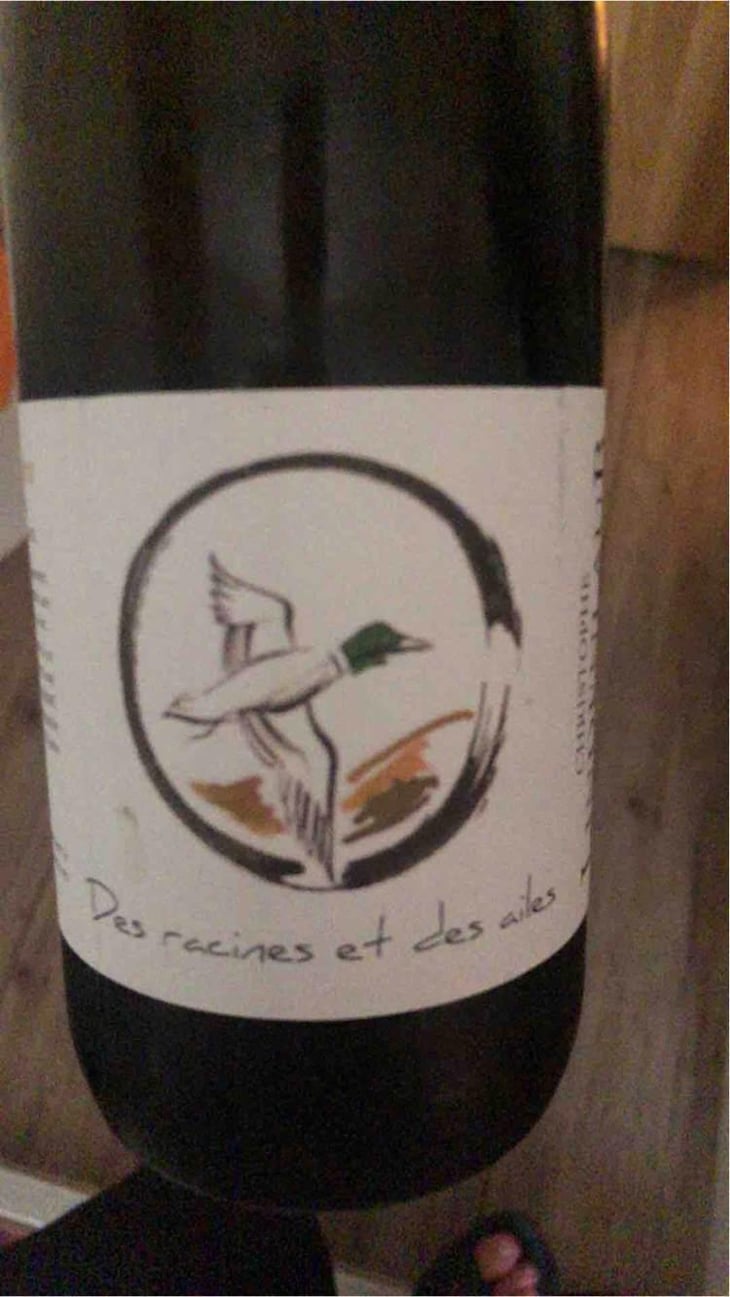 Des Racines Et Des Ailes - Lindenlaub - Christophe Lindenlaub 