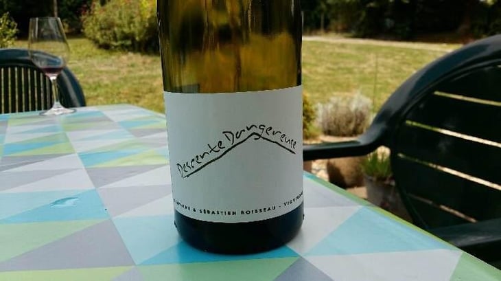 Descente Dangereuse - Domaine La Vigne Mouton - Margaux Calland & Valentin Richoux 