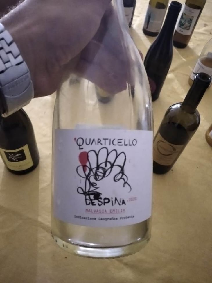 Despina - Il Quarticello - Roberto Maestri 