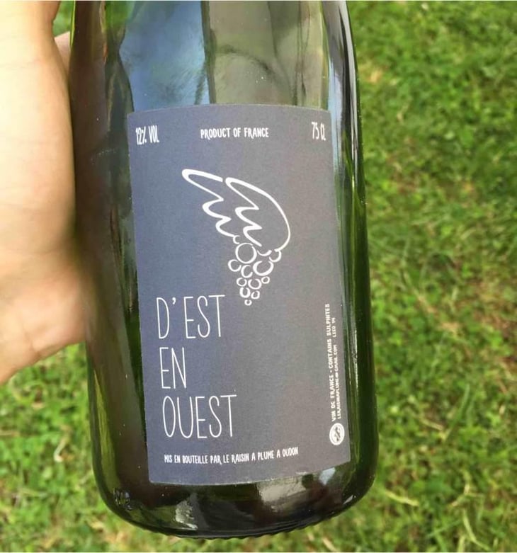 D’Est En Ouest (Rosé) - Le Raisin à Plume - Jacques Février 