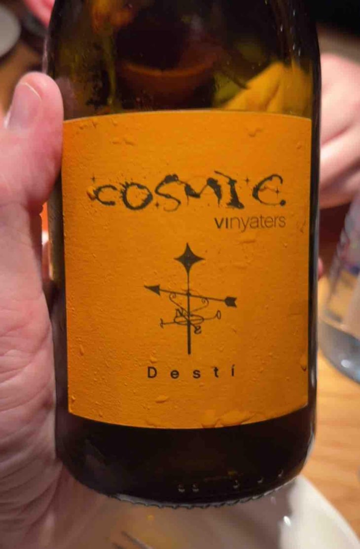 Desti - Còsmic Vinyaters - Salvador Batlle Barrabeig 